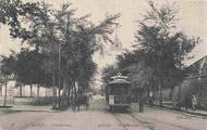 Le tramway sur la Grande Alle.